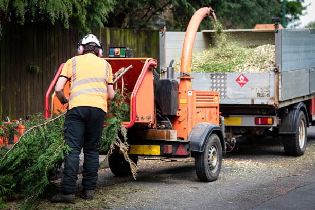 Best Tree Stump Removal  in Riner, VA